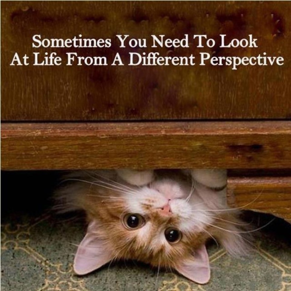 Meet your Posher, Mileke